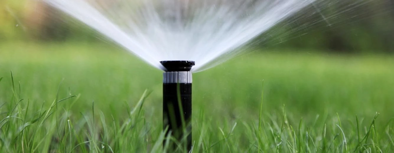 Arrosage automatique : la bonne installation pour un jardin économe